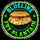 Blueline Fry plantain